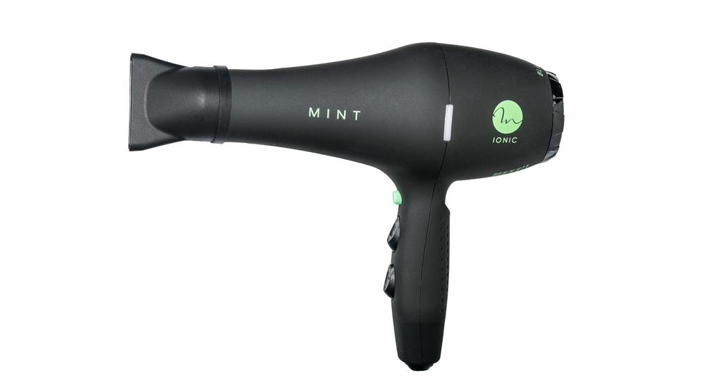 Mint Blackbird Professional Blow Dryer