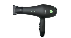 Mint Blackbird Professional Blow Dryer