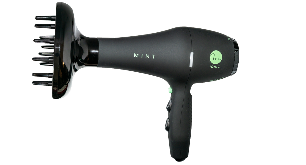 Mint Blackbird Professional Blow Dryer