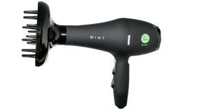 Mint Blackbird Professional Blow Dryer