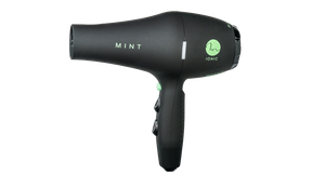 Mint Blackbird Professional Blow Dryer